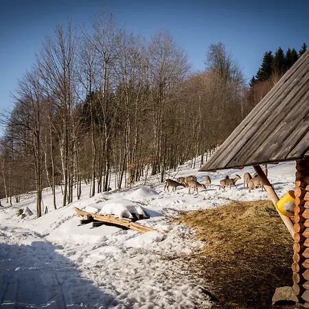 Quarto em Acomodações Particulares Romanowka Raszow