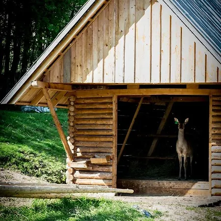 בית אירוח Romanowka Raszow