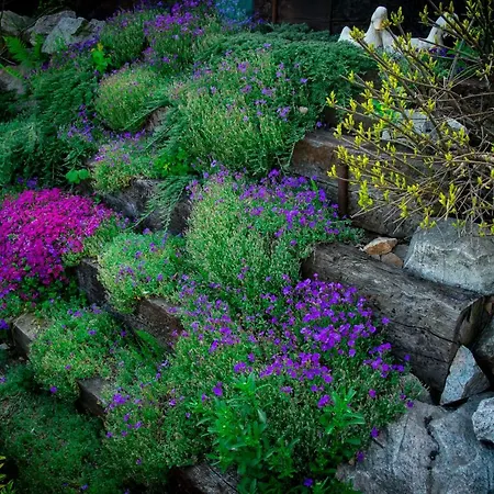 בית אירוח Romanowka *