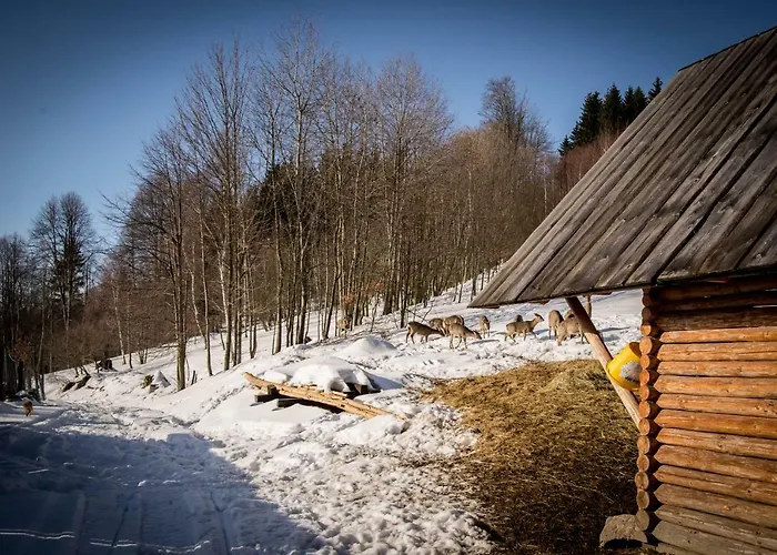 ホームステイ Romanowka Raszow