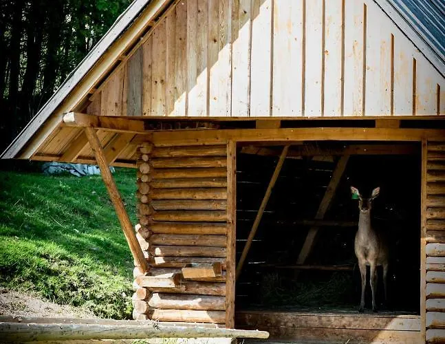 ホームステイ Romanowka Raszow