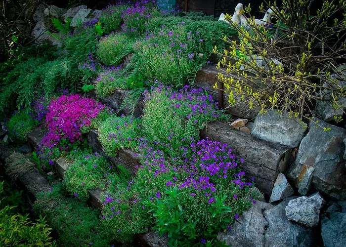 ホームステイ Romanowka *